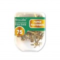 Hernidex 19mm WH-024 兩腳釘 (金色) 75枚裝